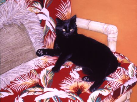 Black Cat On Red Chaise